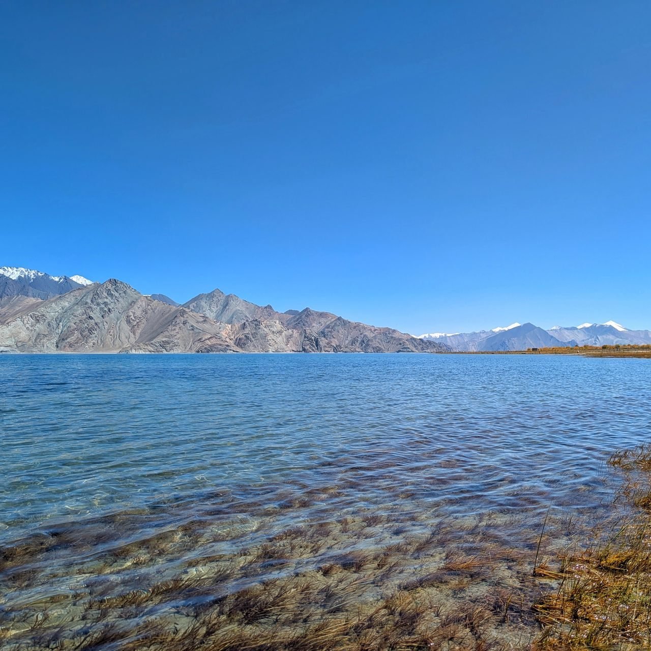 Ladakh holiday scenes