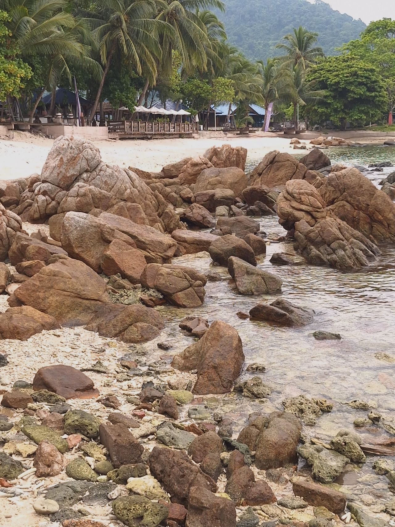 A rocky palm-fringed tropical beach, Malaysia