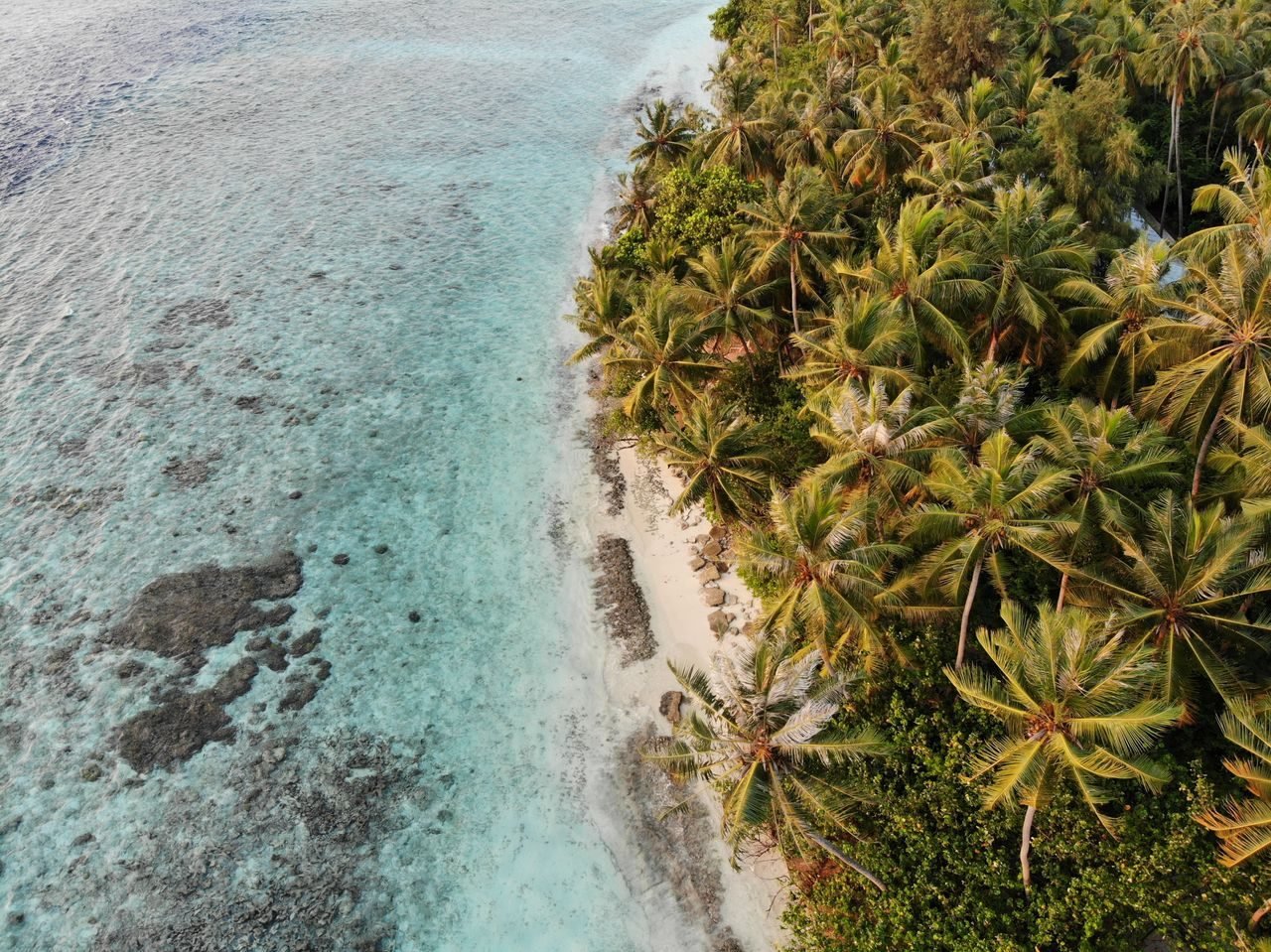 Maldives holiday scenes