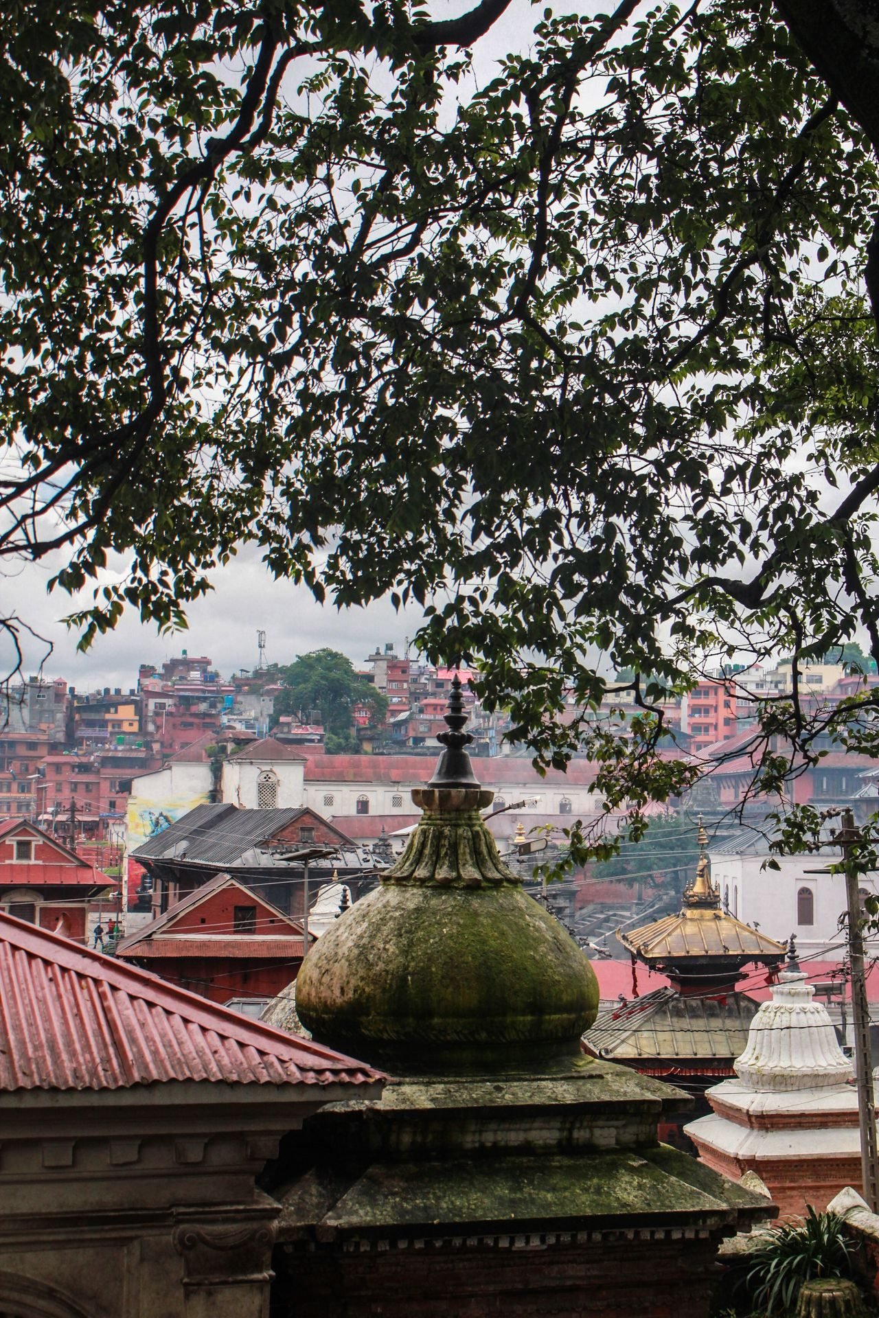 Nepal holiday scenes