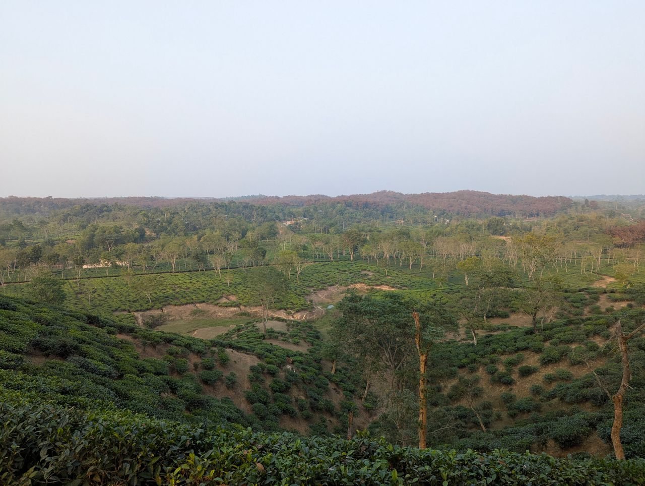 Dzukou Valley — North East India