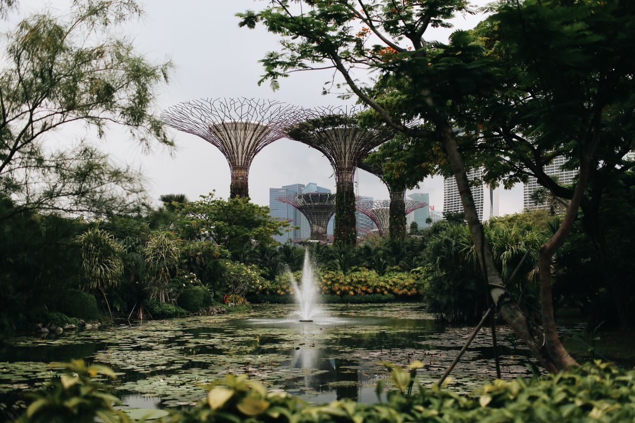 Supertree Grove at Gardens by the Bay, Singapore