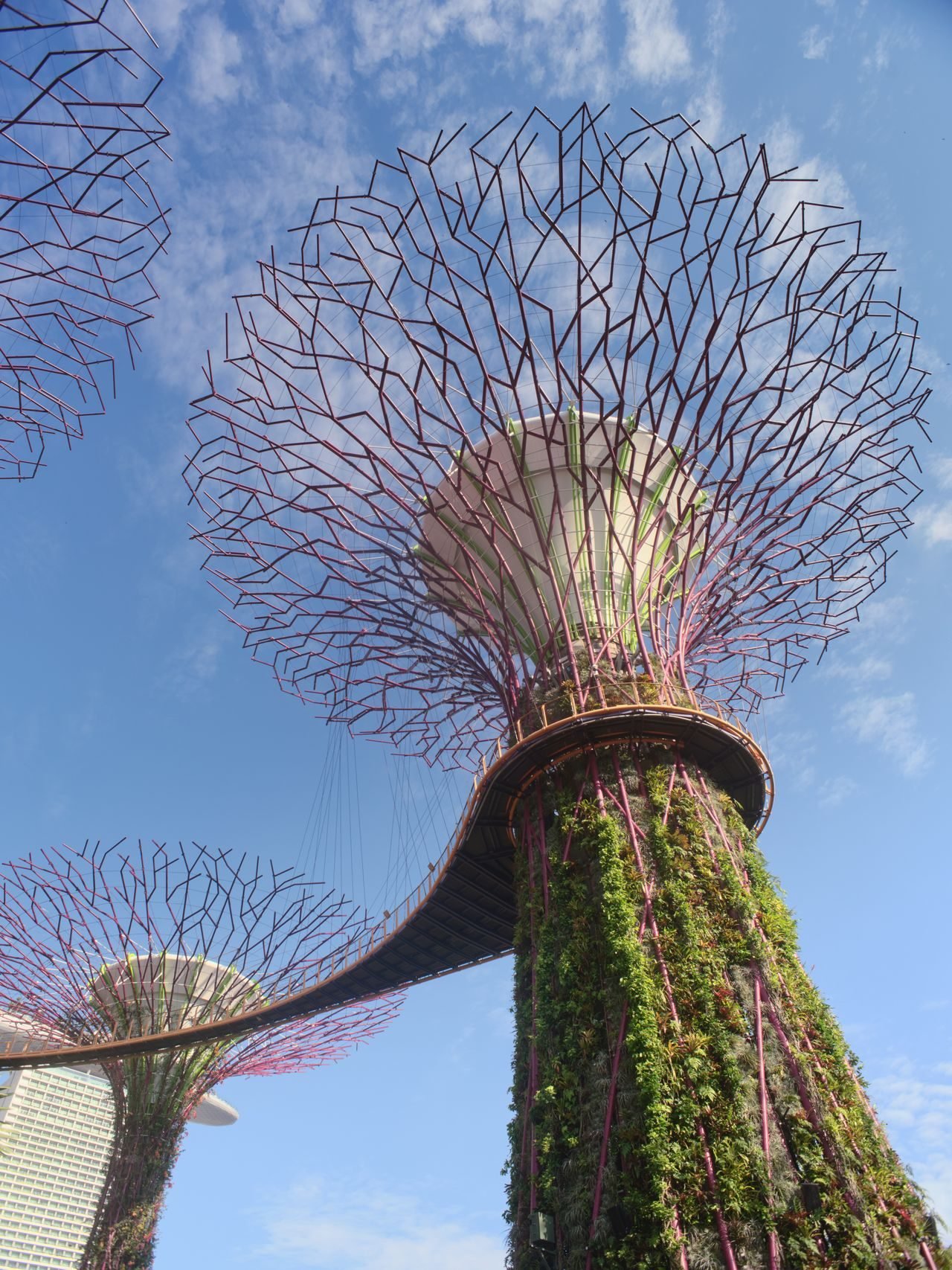 Singapore holiday scenes