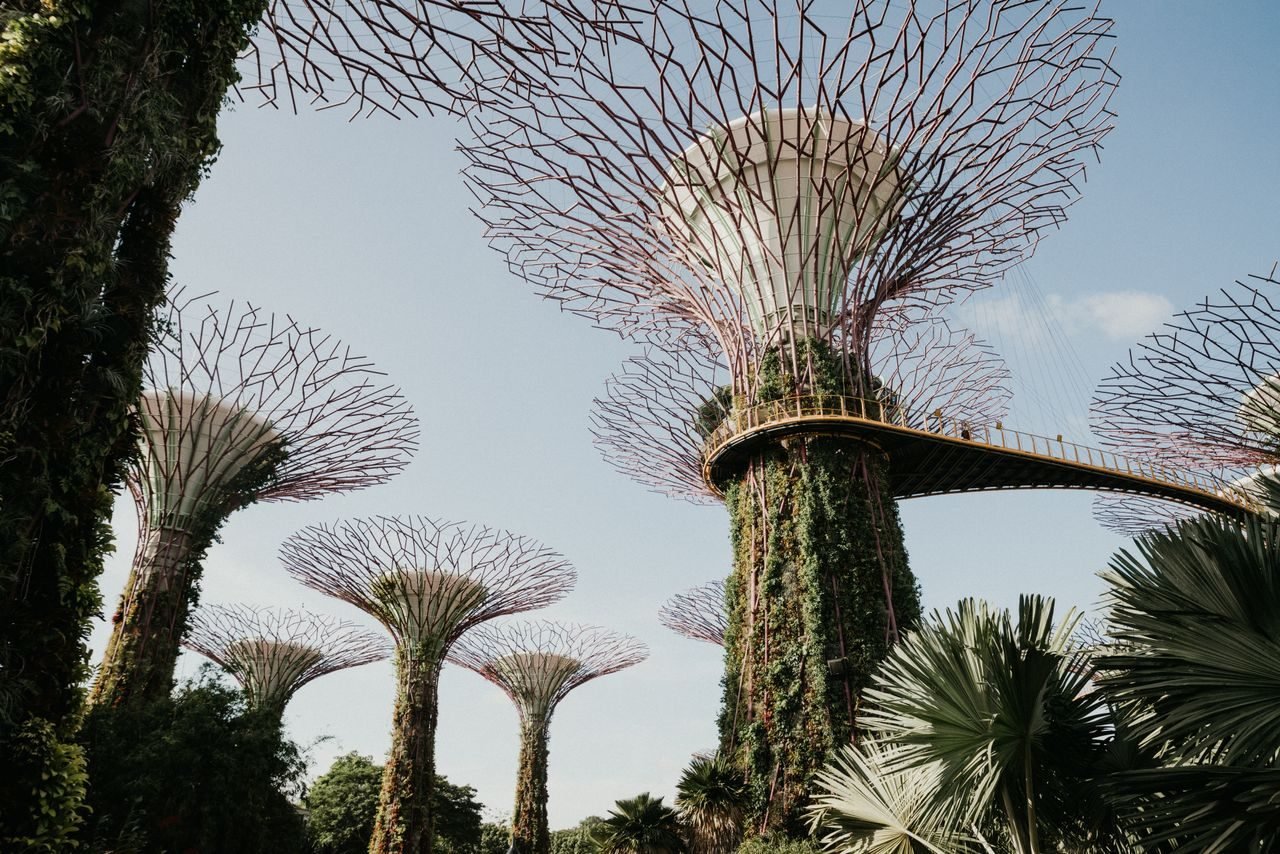 Singapore holiday scenes