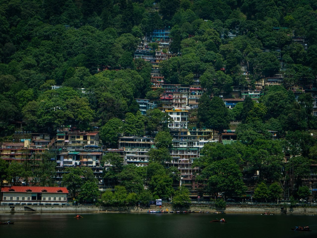 Yoga & Meditation — Uttarakhand