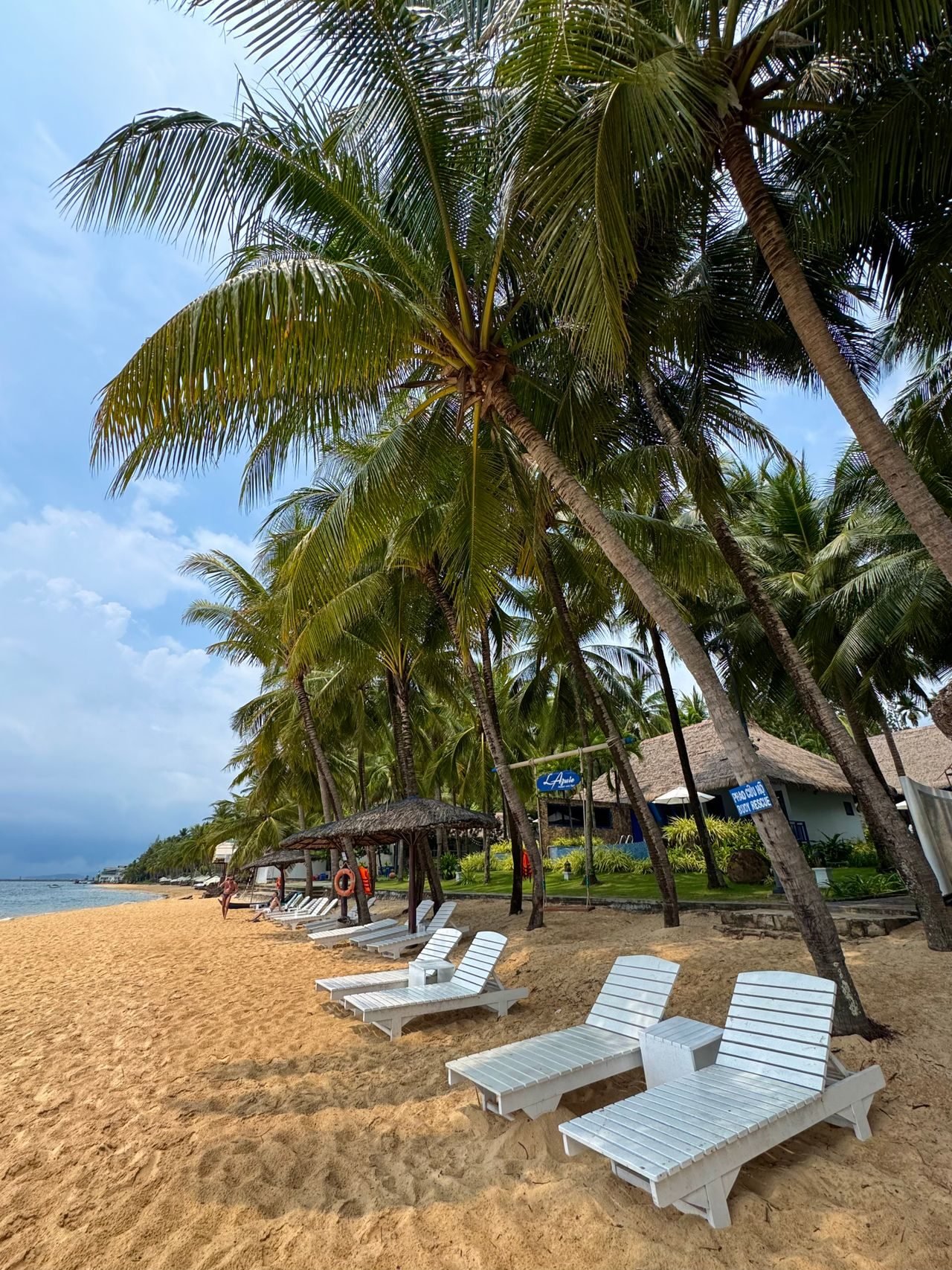 Palm-fringed beach on Phu Quoc, Vietnam