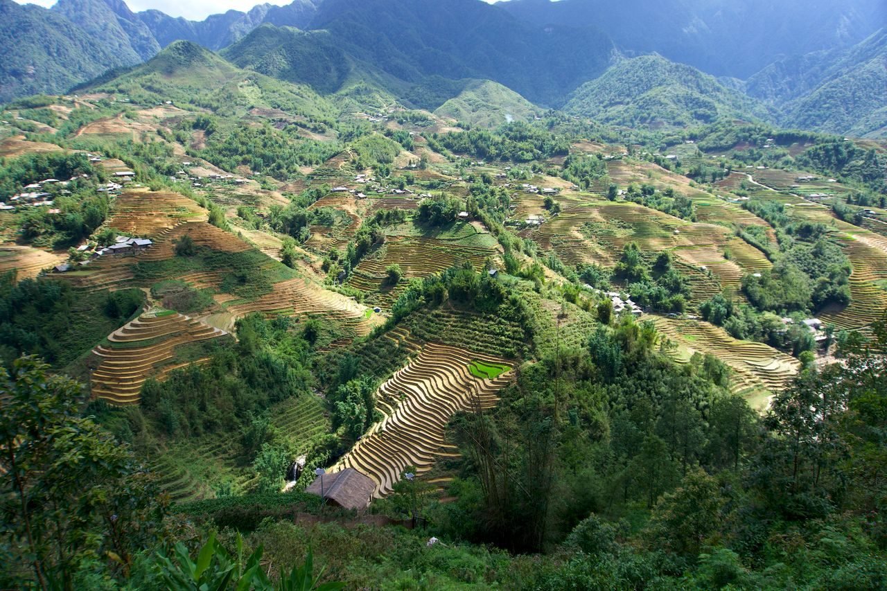 Terraced rice fields of Sapa, Vietnam