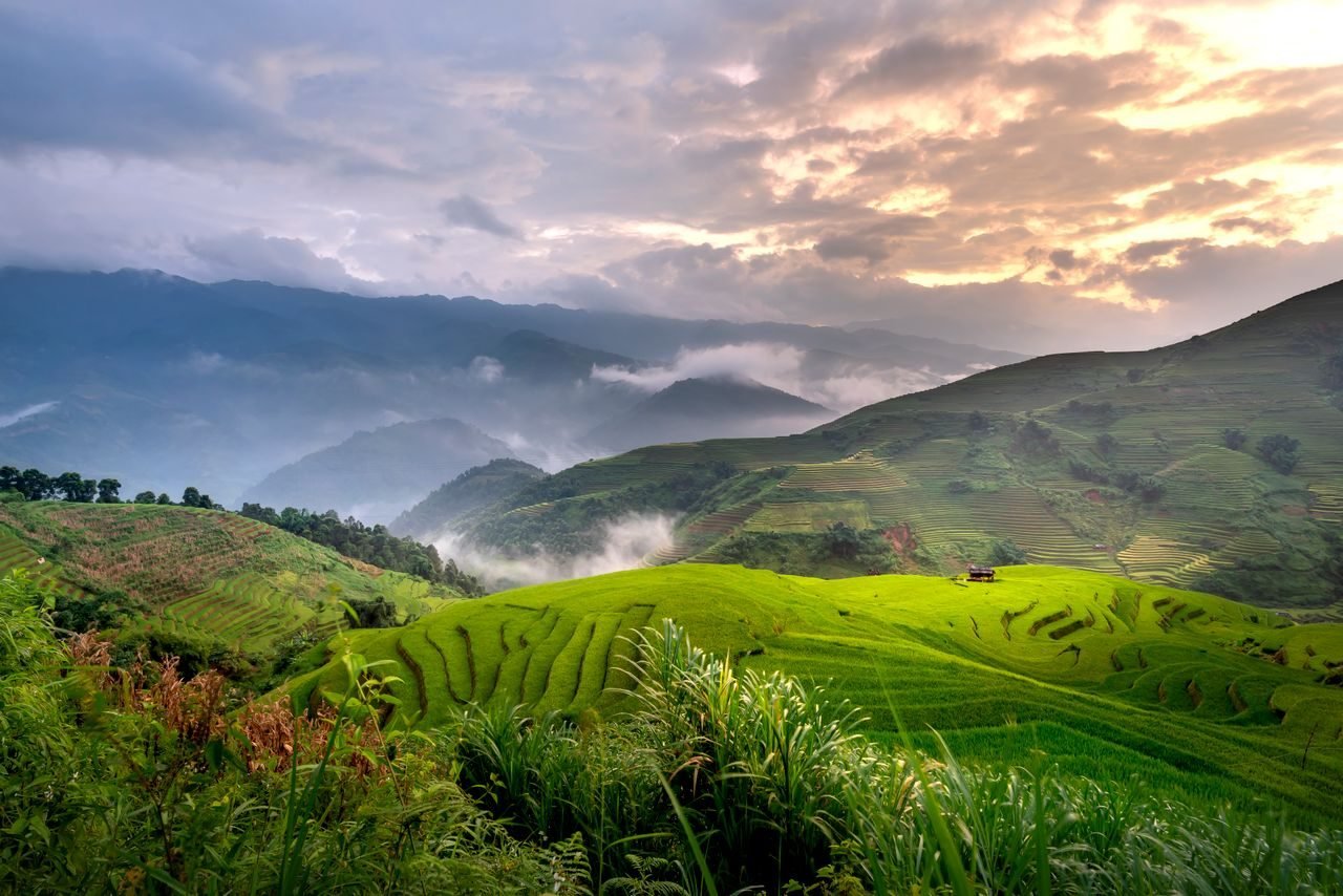 Vietnam holiday scenes