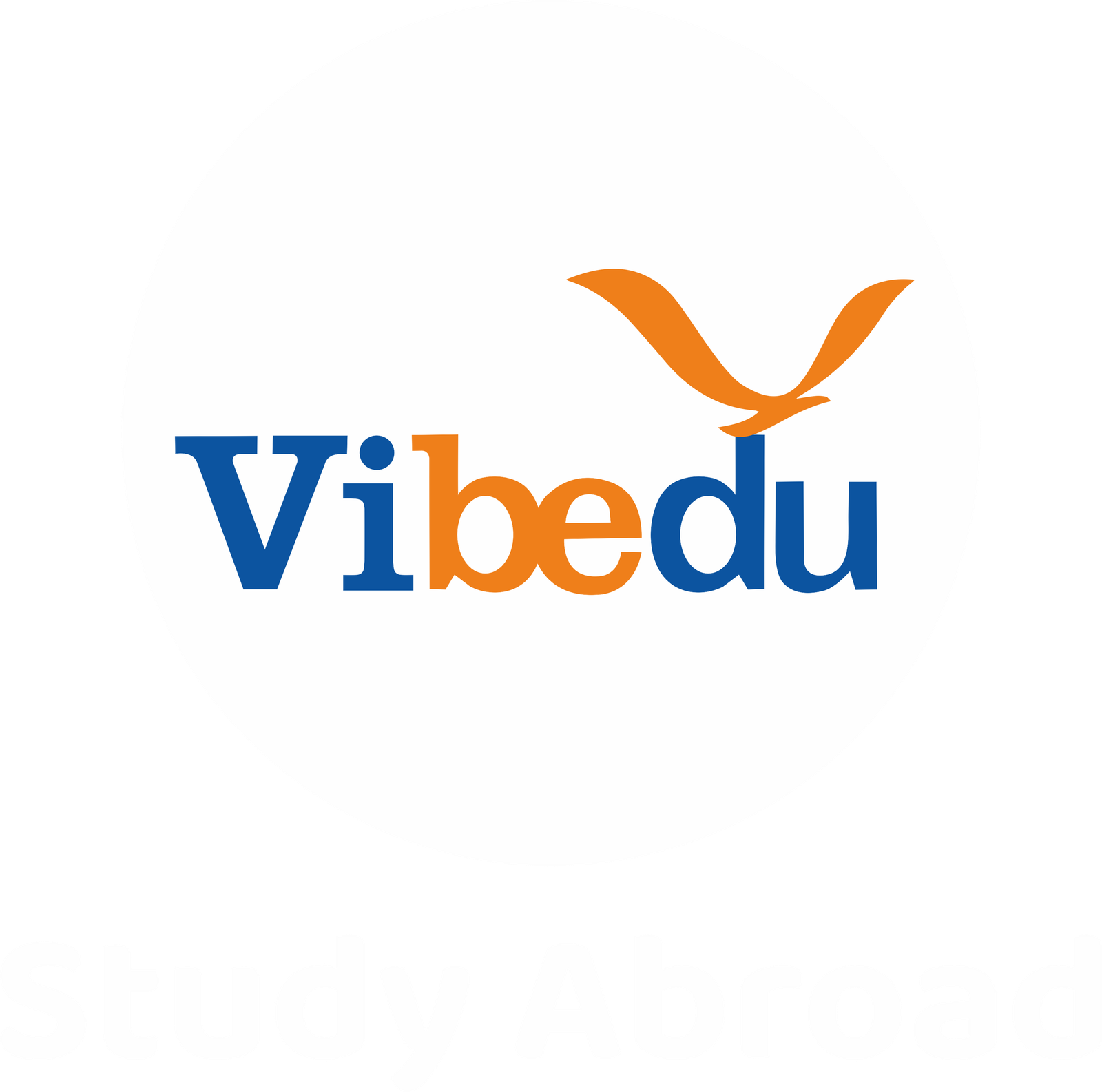 Vibedu — Study Abroad